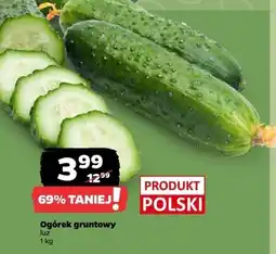 Netto Ogórek gruntowy luz, 1 kg z Zieleniaka oferta
