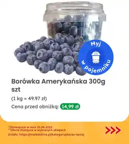 Borówka amerykańska, 1 opak. Dino