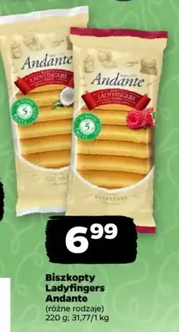 Netto Biszkopty Ladyfingers Andante, różne rodzaje oferta