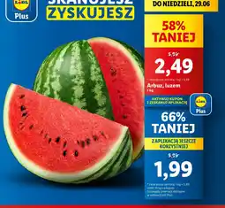 Lidl Arbuz oferta