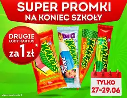 Żabka Lody Kaktus oferta