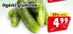 Ogórki gruntowe Prim Market