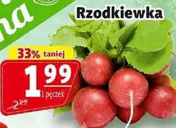 Prim Market Rzodkiewka Prim Market oferta