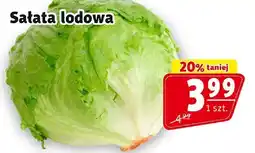 Prim Market Sałata lodowa Prim Market oferta