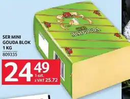 Selgros Ser mini gouda blok Selgros oferta