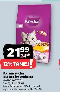 Netto Karma sucha dla kotów Whiskas oferta