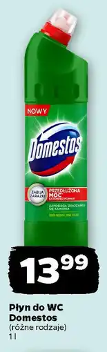 Netto Płyn do WC Domestos oferta