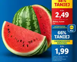 Lidl Arbuz oferta