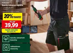 Lidl Parkside szorty robocze męskie oferta