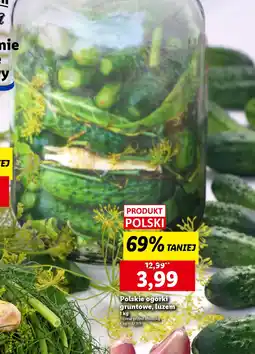 Lidl Polskie ogórki gruntowe oferta