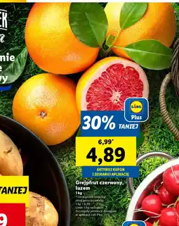 Lidl Grejpfrut czerwony oferta