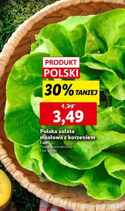 Lidl Polska sałata masłowa z korzeniem oferta