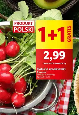 Lidl Polskie rzodkiewki oferta
