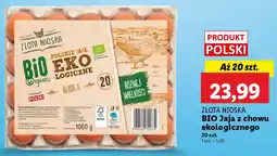 Lidl Złota nioska bio jaja z chowu ekologicznego oferta