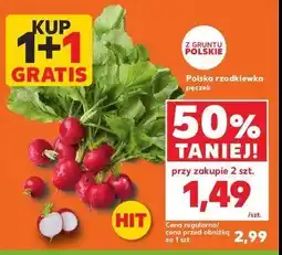 Kaufland Rzodkiewka oferta