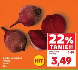 Kaufland Buraki młode oferta