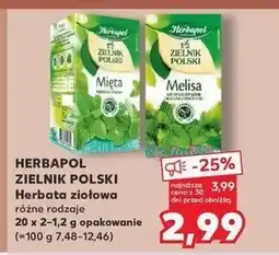 Kaufland Herbatka mięta Herbapol zielnik polski oferta