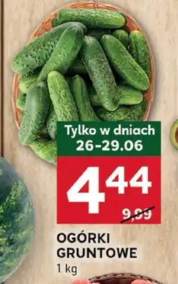 Stokrotka Ogórki gruntowe 1 kg Stokrotka oferta