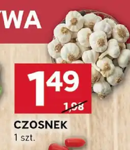 Stokrotka Czosnek 1 szt. Stokrotka oferta