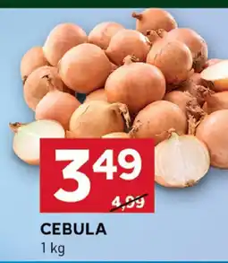 Stokrotka Cebula 1 kg Stokrotka oferta