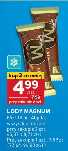Stokrotka Lody Magnum oferta