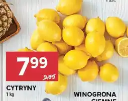 Stokrotka Owoc Winogrona Ciemne Stokrotka oferta