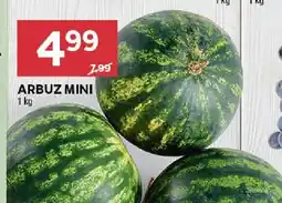 Stokrotka Owoc Arbuz Mini Stokrotka oferta