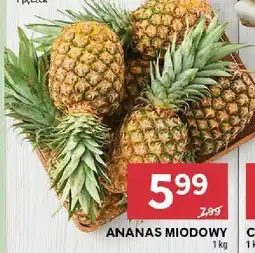 Stokrotka Owoc Ananas Miodowy Stokrotka oferta