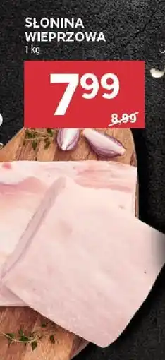 Stokrotka Mięso Słonina Wieprzowa Stokrotka oferta