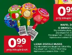 Stokrotka Lizak Zozole Musss oferta