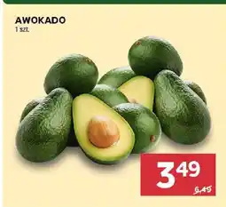 Stokrotka Awokado Stokrotka oferta
