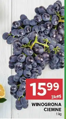 Stokrotka Winogrona ciemne Stokrotka oferta
