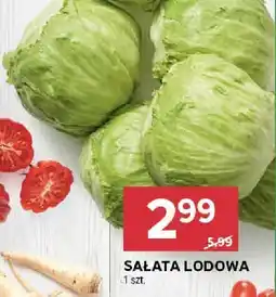 Stokrotka Sałata lodowa Stokrotka oferta