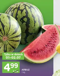 Stokrotka Arbuz Stokrotka oferta