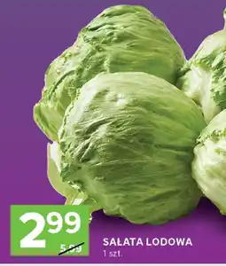 Stokrotka Sałata lodowa Stokrotka oferta