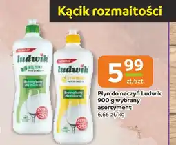 Gama Płyn do naczyń Ludwik oferta