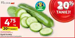 Auchan Ogórki Suchan oferta