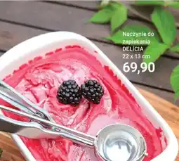 Tescoma Naczynie do zapiekania Delicia oferta