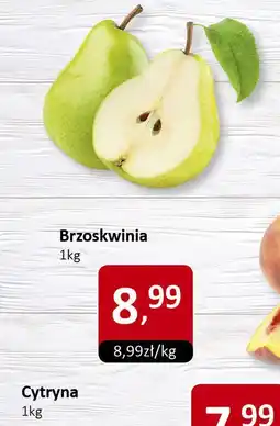 Market Point Cytryna Market Point oferta