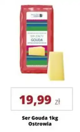 Torimpex Ser Gouda Ostrowia oferta