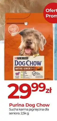 Zoo Karina Purina Dog Chow oferta