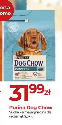 Zoo Karina Purina Dog Chow oferta
