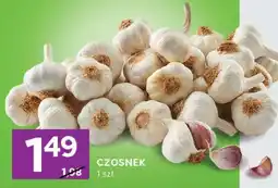 Stokrotka Express Czosnek oferta