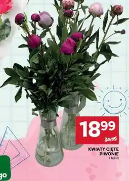 Stokrotka Market Kwiaty cięte piwonie oferta