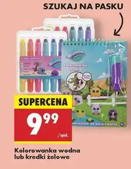 Biedronka Kolorowanka wodna lub kredki żelowe oferta