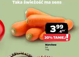 Netto Marchew MA oferta