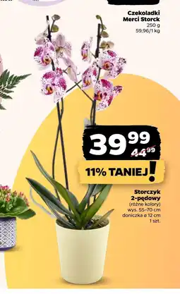 Netto Storczyk Merci oferta