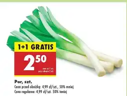 Biedronka Por 1 szt. Biedronka oferta