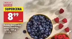 Biedronka Borówka amerykańska, 1 opak. Biedronka oferta