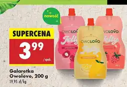 Biedronka Galaretka owocowa Owolovo oferta